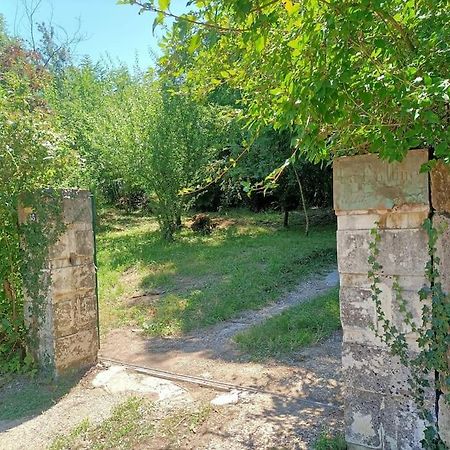 Вилла La Colline Aux Oiseaux, La Tranquillite Des Bois Molieres-sur-Ceze Экстерьер фото