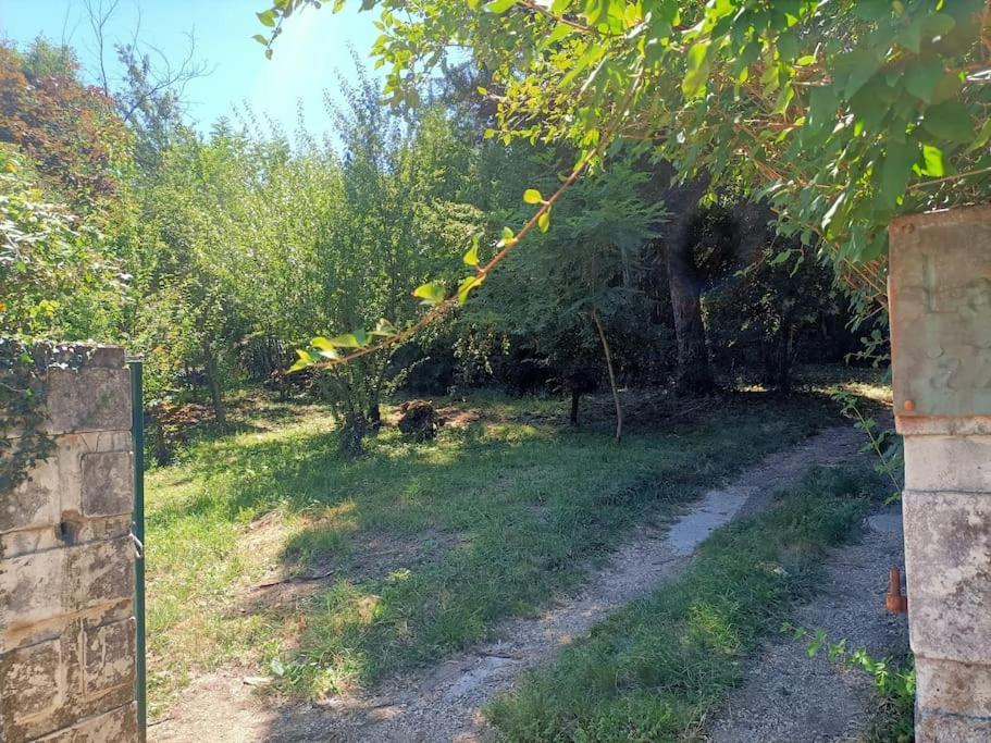 Вилла La Colline Aux Oiseaux, La Tranquillite Des Bois Molieres-sur-Ceze Экстерьер фото