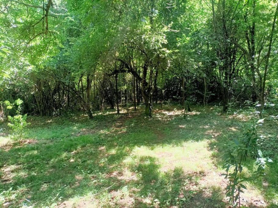 Вилла La Colline Aux Oiseaux, La Tranquillite Des Bois Molieres-sur-Ceze Экстерьер фото